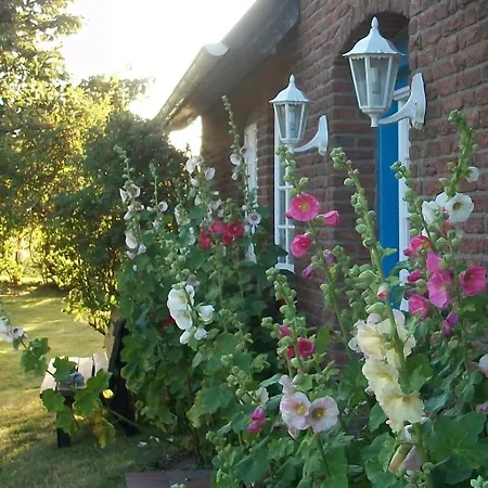 Haus-wolfram-app-wilhelmine * Morsum (Sylt)